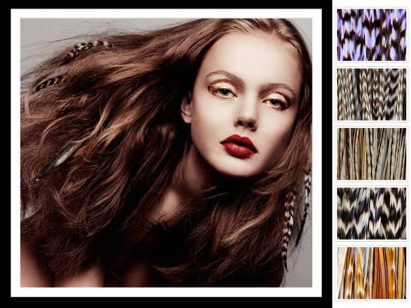 feather hair extensions san francisco. FEATHER HAIR EXTENTIONS